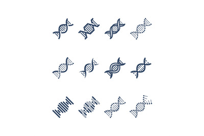 Dna spiral molecule structure vector icons. Genetics research and chro