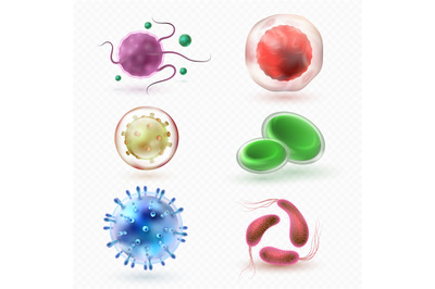 Closeup microscopic body virus cells and bacteria isolated vector set