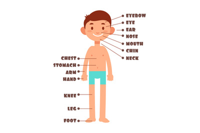 Cartoon boy. Kids body parts with english vocabulary vector set