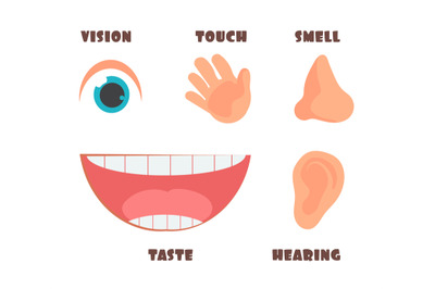 Human senses cartoon vector icons with eye, nose, ear, hand, and mouth