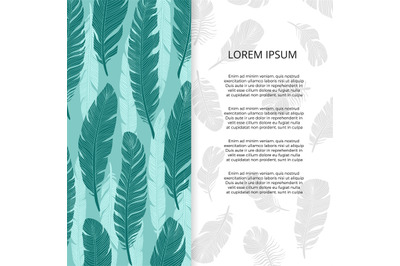 Bird feathers banner or poster design - brochure template