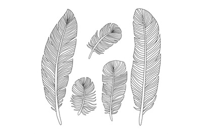 Hand drawn feathers outline silhouettes