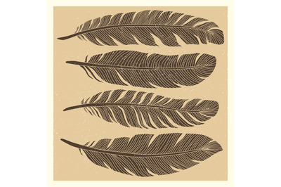 Set of grunge vintage bird feathers design