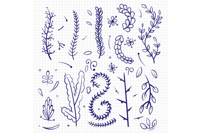 Hand drawn doodle branches and decorative elements