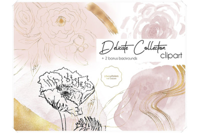 Delicate Collection Watercolor Design Bundle