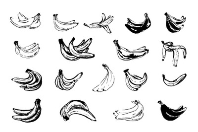 Bananas illustration and pattern