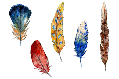 Realistic bird feathers. Detailed colorful feather of different birds. By  Microvector