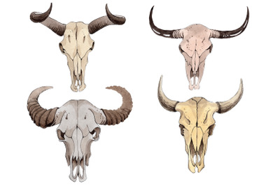 Cow skull watercolor png