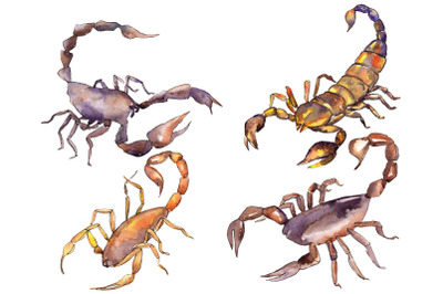 Animal world scorpion watercolor png
