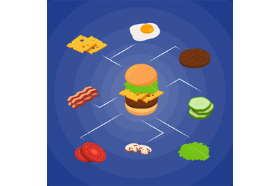 Vector isometric burger ingredients infographic concept illustration