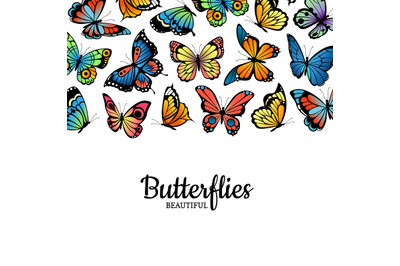 Vector decorative butterflies colored insects background illustration