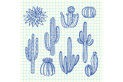 Vector hand drawn wild cacti plants set on blue cell sheet background