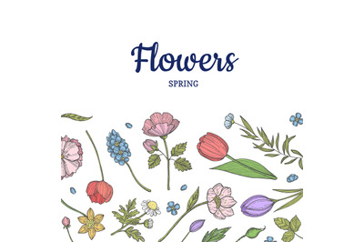 Vector hand drawn flowers background banner poster