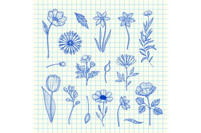 Vector hand drawn flowers set on blue cell sheet background illustrati