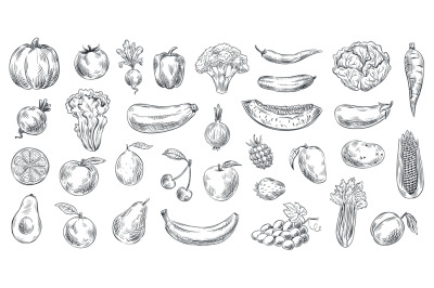 Sketched vegetables and fruits. Hand drawn organic food, engraving veg