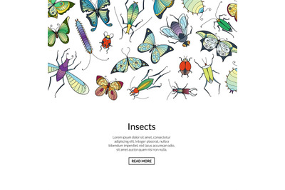 Vector hand drawn insects colored banner web