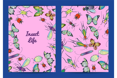 Vector hand drawn insects card isolared on background