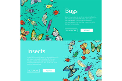 Vector hand drawn insects web banner illustration