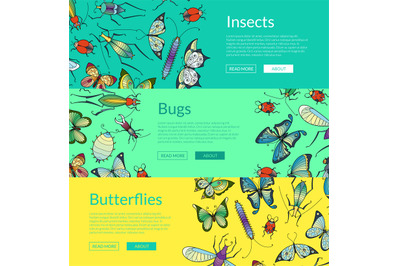 Vector hand drawn insects of set colored