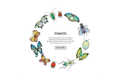 Vector hand drawn insects in circle shape