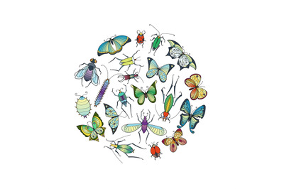 Vector hand drawn insects in circle shape illustration