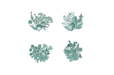 Vector hand drawn medical herbs bouquets set illustration