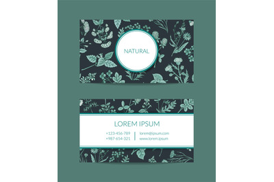 Vector hand drawn medical herbs business card template for farmacy ill