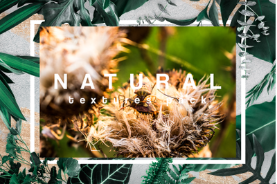 Fern overlay&2C; Beach backdrop&2C; Floral digital backdrop&2C; Flower overlay