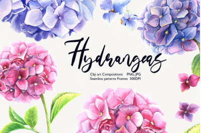 Watercolor  Hydrangeas