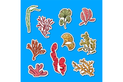 Vector hand drawn seaweed elements sticker set illustration