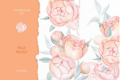 Watercolor Peach Roses