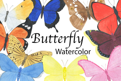 Butterfly watercolor