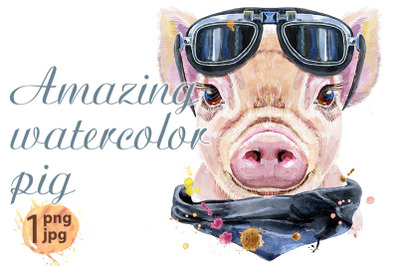 Watercolor portrait of mini pig biker sunglasses