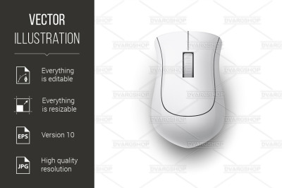 Computer Mouse