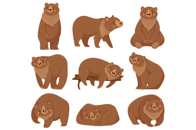 Cartoon brown bear. Grizzly bears, wild nature forest predator animals