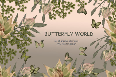 butterfly world