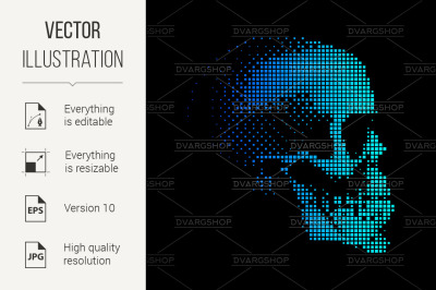 Human Skull