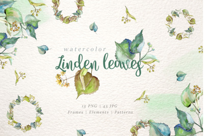 Linden Watercolor Leaves , Clipart, Hand painted