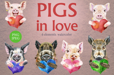 Watercolor pigs in love