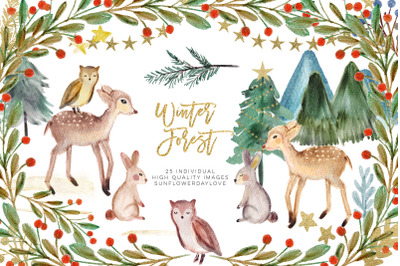 Winter Woodland Animals Clipart&2C; Watercolor Pine Trees Clipart