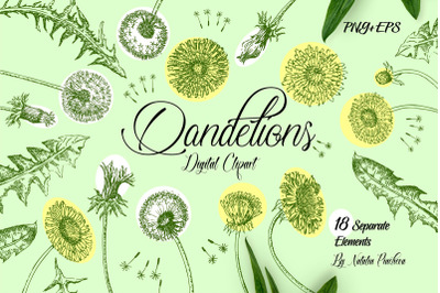 Dandelions Digital Clipart
