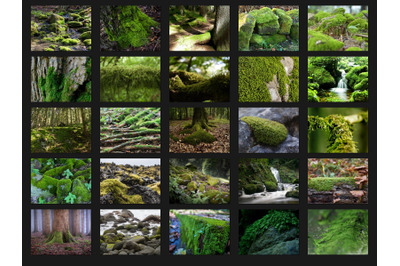 200 HIGH QUALITY MOSS, Tree, Stone, Digital Photoshop Overlays