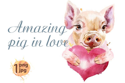 Watercolor portrait of mini pig with pink heart