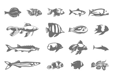400 3602677 qgvlhd0q6zzp5cd6x5mdy86losdtk0fqpivlbpcg collection of fish icon