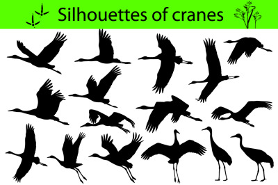Silhouettes of cranes