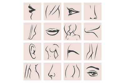 Female Body Parts set