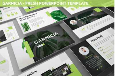 Garnicia - Fresh Powerpoint Template
