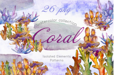 Watercolor Sea Corals PNG set