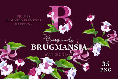 Burgundy Brugmansia Watercolor png
