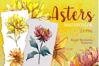 Yellow Watercolor Asters PNG set